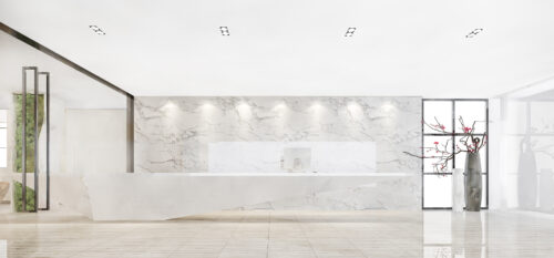 Vietnam Super White Marble
